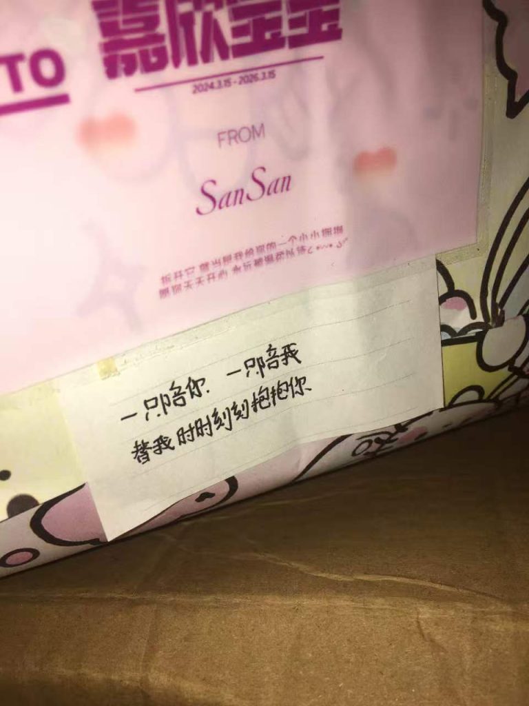 这是我送她的娃娃 她的是蓝色 我的是粉色