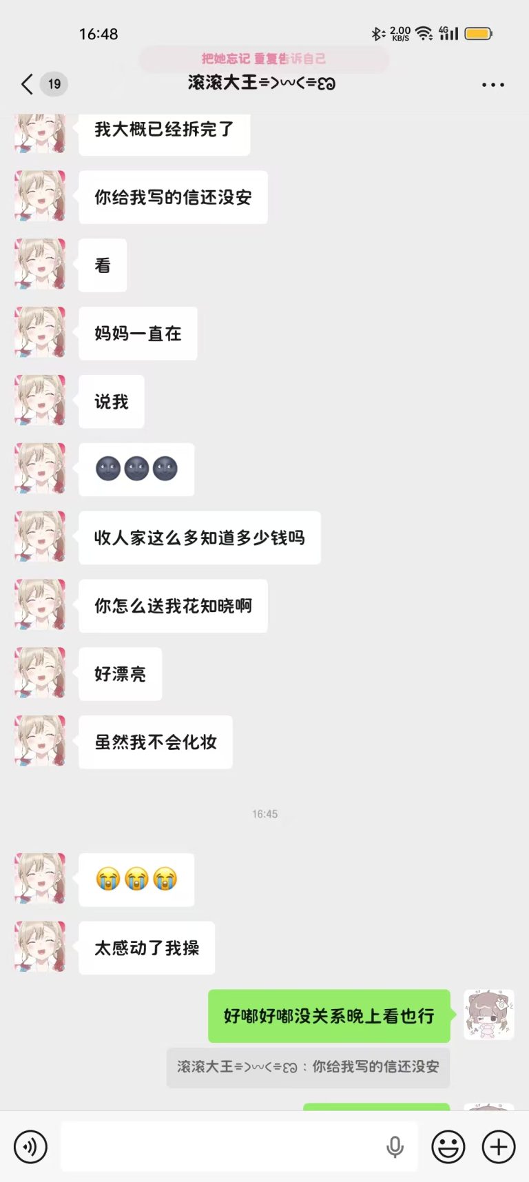 其实不会化妆我也预料到了也专门找了客服找了遮瑕淡妆为主